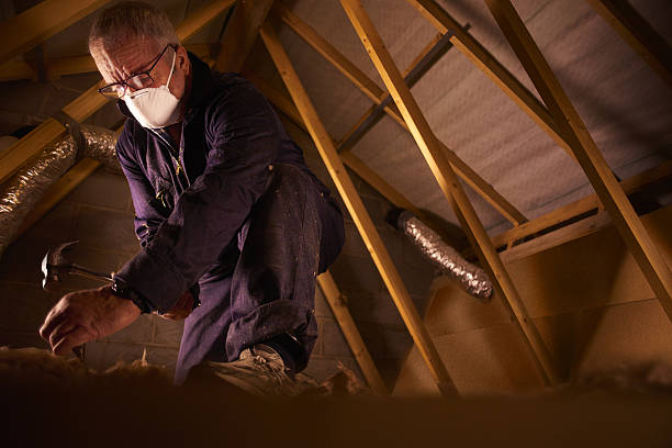 Best Insulation Repair Services  in Bethel, NC